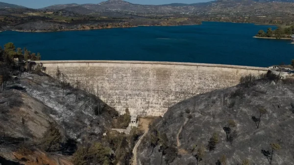 Yunanistan’da Büyük Orman Yangını: 100 Binden Fazla Dönüm Yok Oldu